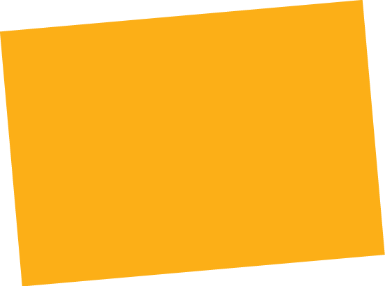 Polygon