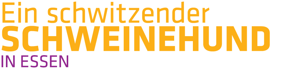 Ein schwitzender Schweinehund in Essen