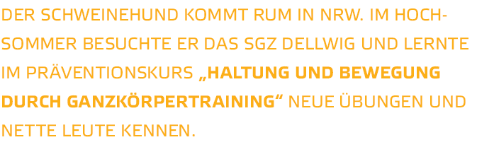 Der Schweinehund kommt rum in NRW  Im Hoch sommer besuchte er das SGZ Dellwig und lernte im Pr ventionskurs  Haltung    