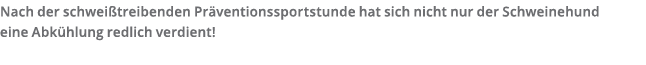 Nach der schwei treibenden Pr ventionssportstunde hat sich nicht nur der Schweinehund eine Abk hlung redlich verdient 
