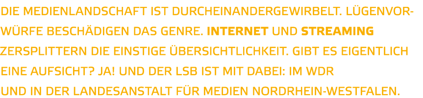 Die Medienlandschaft ist durcheinandergewirbelt  L genvorw rfe besch digen das Genre  Internet und Streaming zersplit   